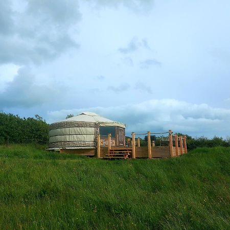 The Kites Rest At Castle Creavie Farm Hotel Kirkcudbright Exterior photo